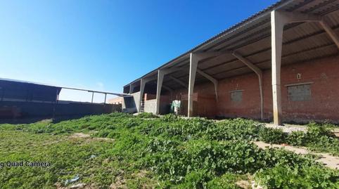 Foto 5 de Finca rústica en venta en Calle Cadena, 468, Almorox, Toledo