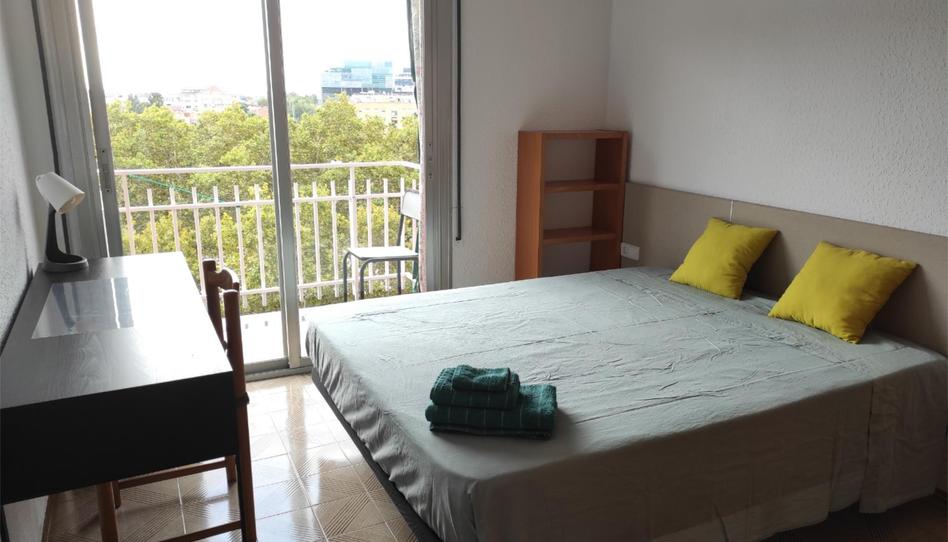 Photo 1 of Flat to share in Carrer Dels Alts Forns, 67, La Marina del Port, Barcelona