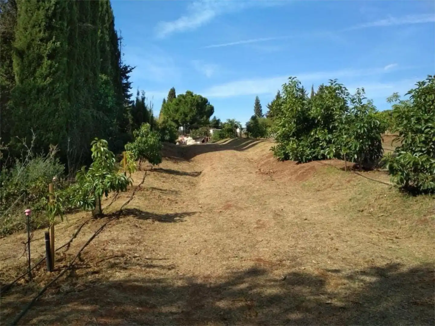 Casa o xalet en venda a Conjunto el Romeral, El Romeral - Peñón de Zapata Casa o xalet en venda en Alhaurín de la Torre amb Aire condicionat, Calefacció i Jardí privat