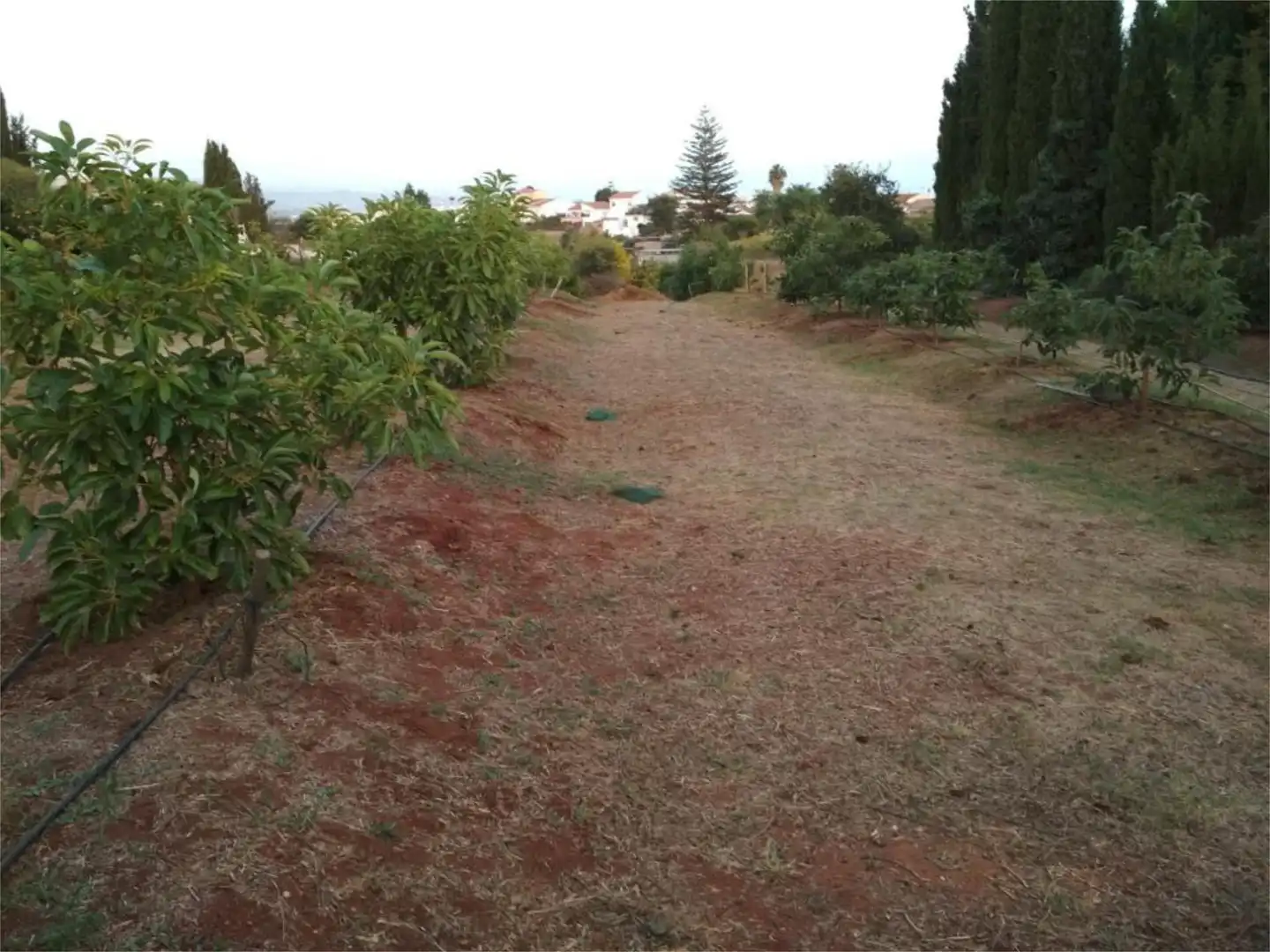 Casa o xalet en venda a Conjunto el Romeral, El Romeral - Peñón de Zapata Casa o xalet en venda en Alhaurín de la Torre amb Aire condicionat, Calefacció i Jardí privat