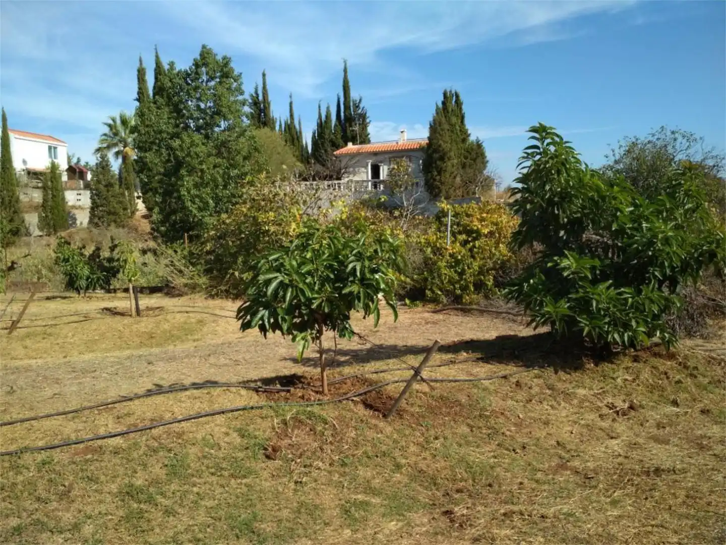 Casa o xalet en venda a Conjunto el Romeral, El Romeral - Peñón de Zapata Jardí de Casa o xalet en venda en Alhaurín de la Torre amb Aire condicionat, Calefacció i Jardí privat