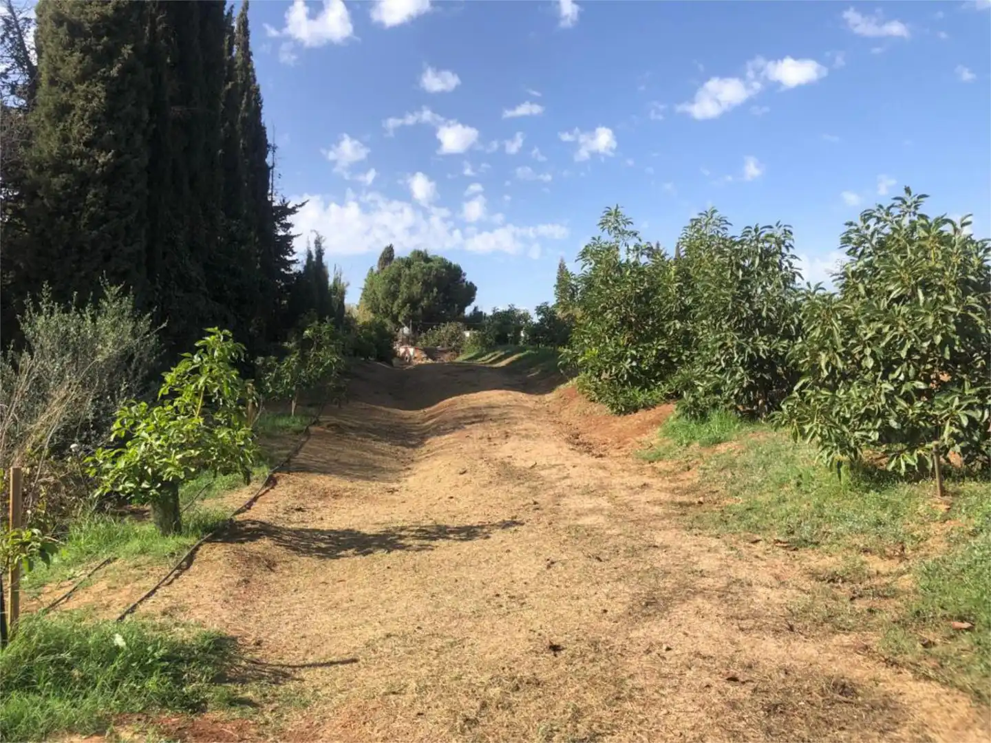Casa o xalet en venda a Conjunto el Romeral, El Romeral - Peñón de Zapata Casa o xalet en venda en Alhaurín de la Torre amb Aire condicionat, Calefacció i Jardí privat
