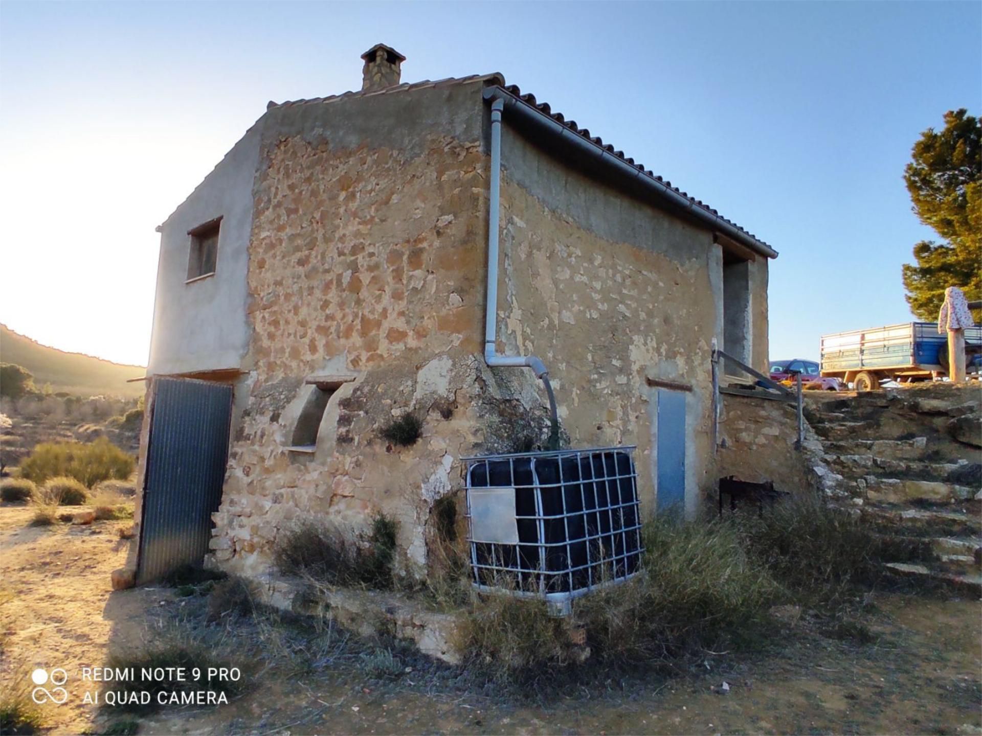 Non-constructible Land for sale in Maella