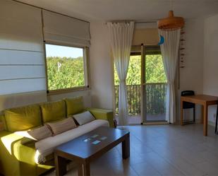 Sala d'estar de Pis en venda en Sant Antoni de Vilamajor amb Aire condicionat i Balcó