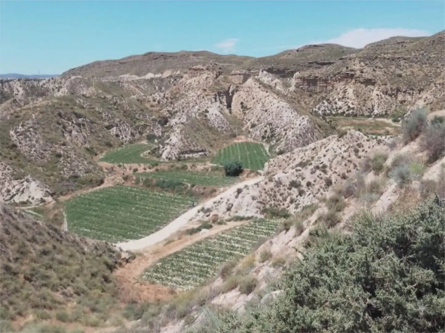 Vista exterior de Finca rústica en venda en Cuevas del Almanzora