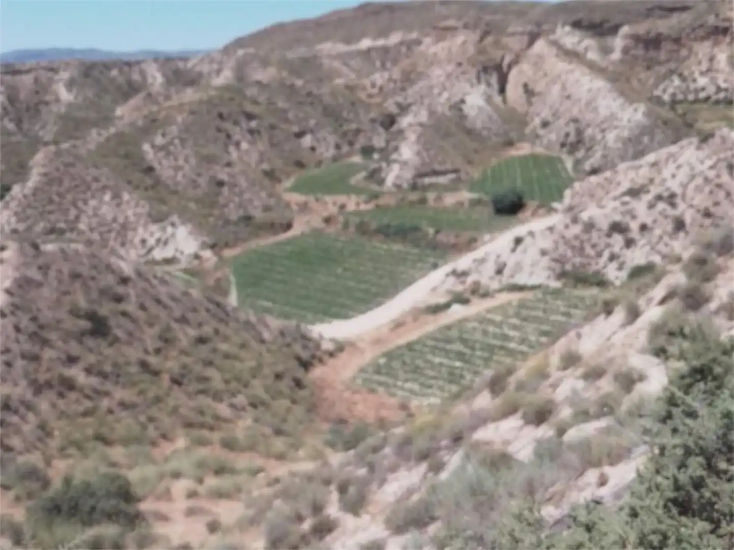 Vista exterior de Finca rústica en venda en Cuevas del Almanzora
