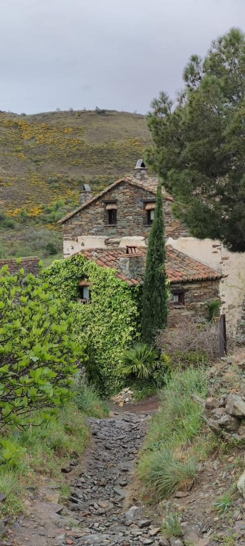 Exterior view of House or chalet for sale in Patones  with Balcony