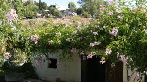 Flat for sale in Jimena de la Frontera, Cádiz - image 4 Photo 4 of Flat for sale in Jimena de la Frontera, Cádiz