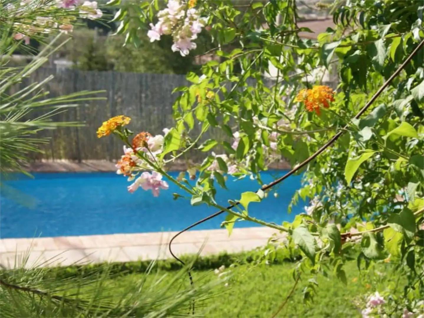 Swimming pool of Flat for sale in Jimena de la Frontera  with Air Conditioner, Private garden and Terrace