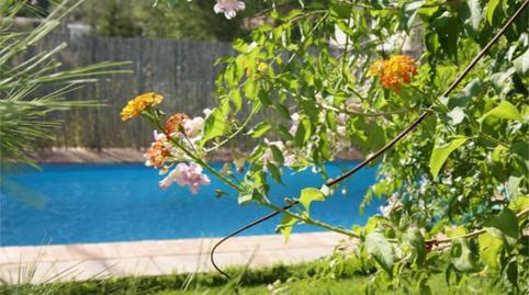 Flat for sale in Jimena de la Frontera, Cádiz - image 5 Photo 5 of Flat for sale in Jimena de la Frontera, Cádiz