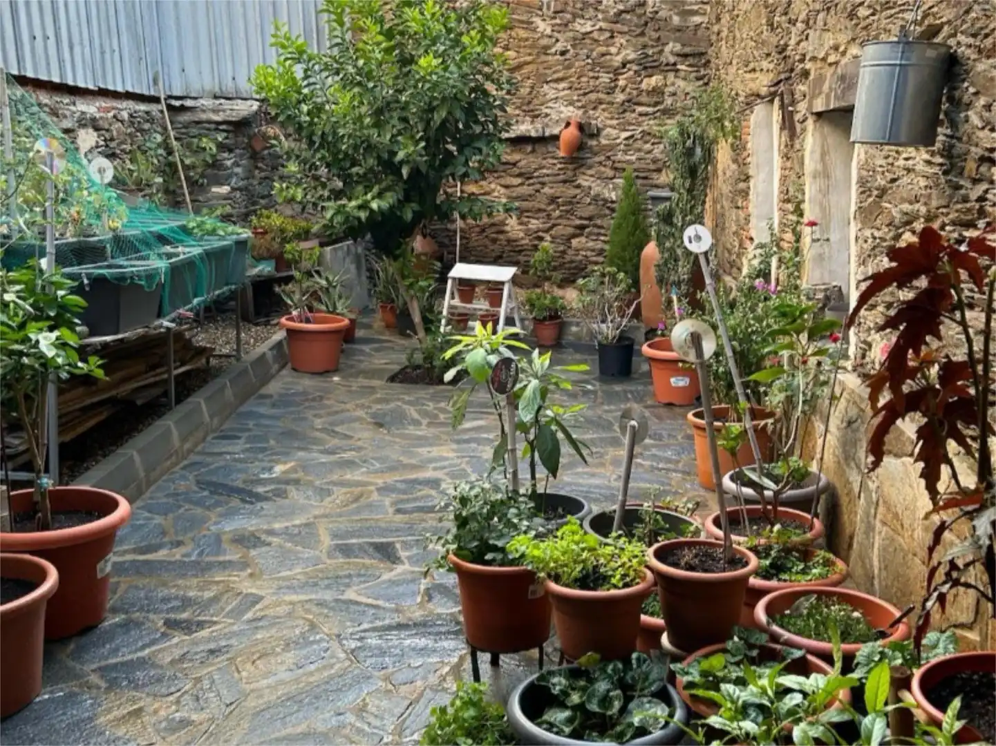 Flat for sale in Carretera Malpartida, Zona Sur - Av. de España - San Miguel Terrace of Flat for sale in Plasencia with Private garden