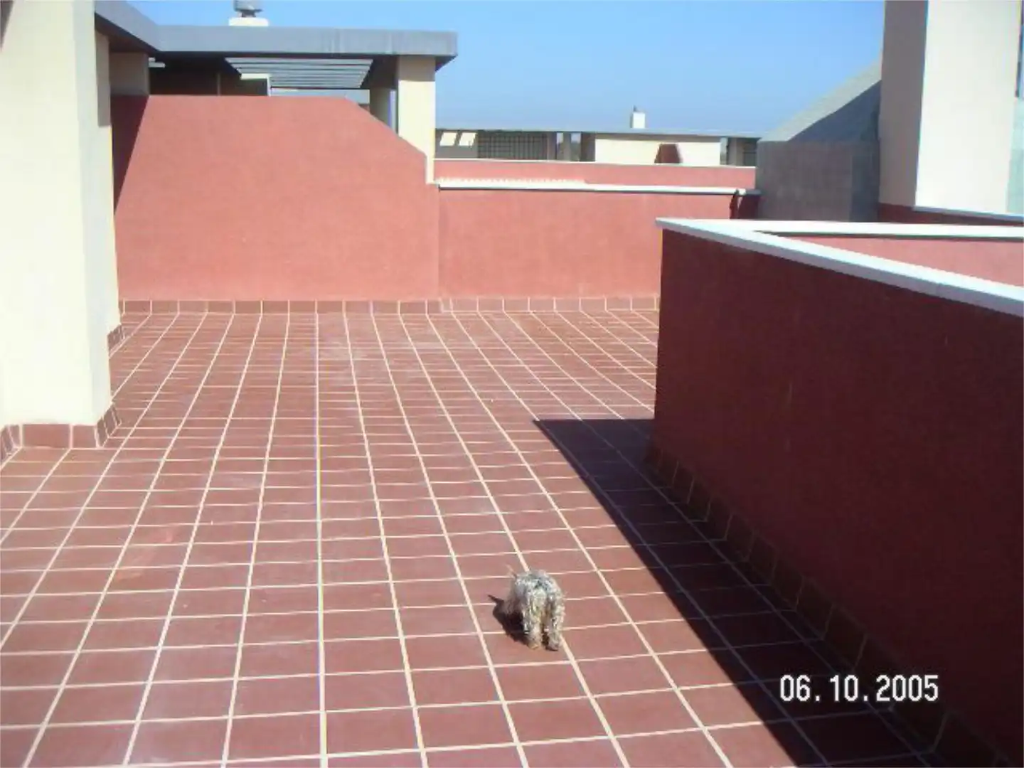 Ático de alquiler en Calle Lepanto, 5, Isla Cristina Ciudad