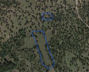 Non-constructible Land for sale in Bustarviejo