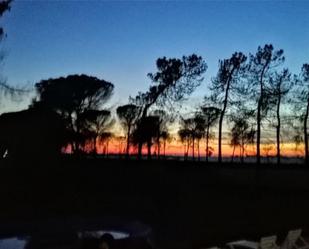 Vista exterior de Finca rústica en venda en Bonares amb Piscina