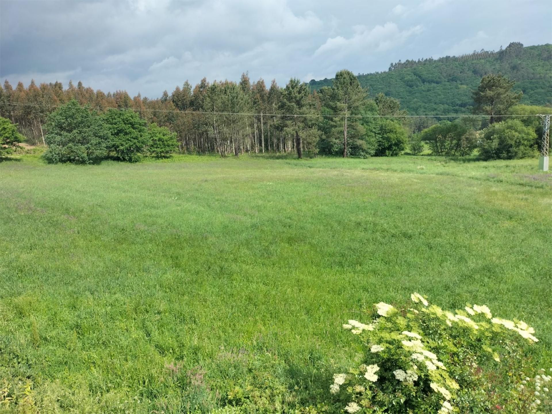 Land for sale in Trazo