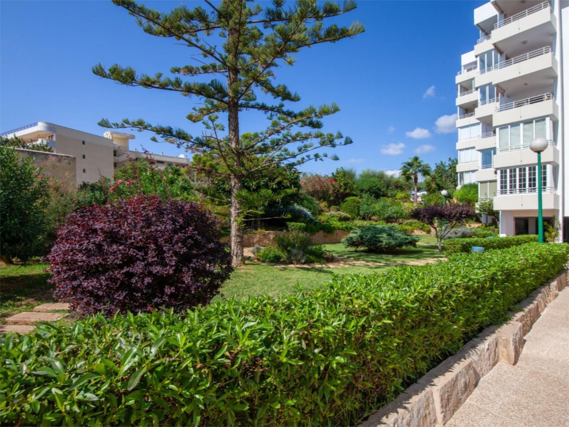 Garden of Flat for sale in Calvià  with Terrace