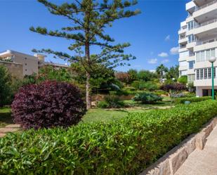 Garden of Flat for sale in Calvià  with Terrace