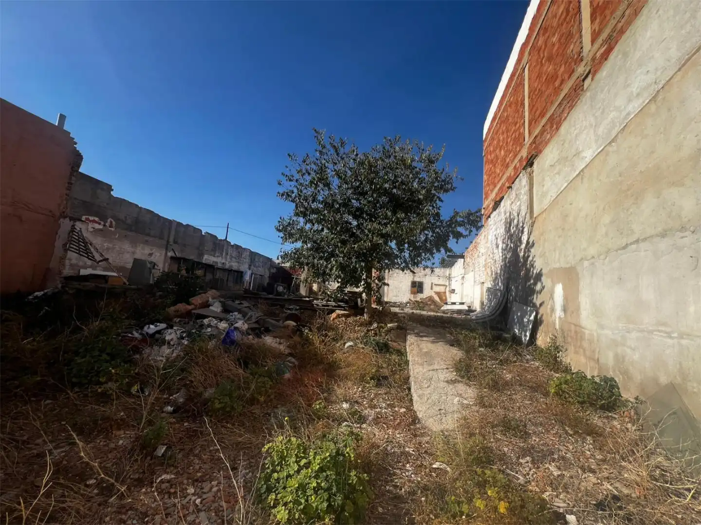Finca rústica en venta en Vila-real