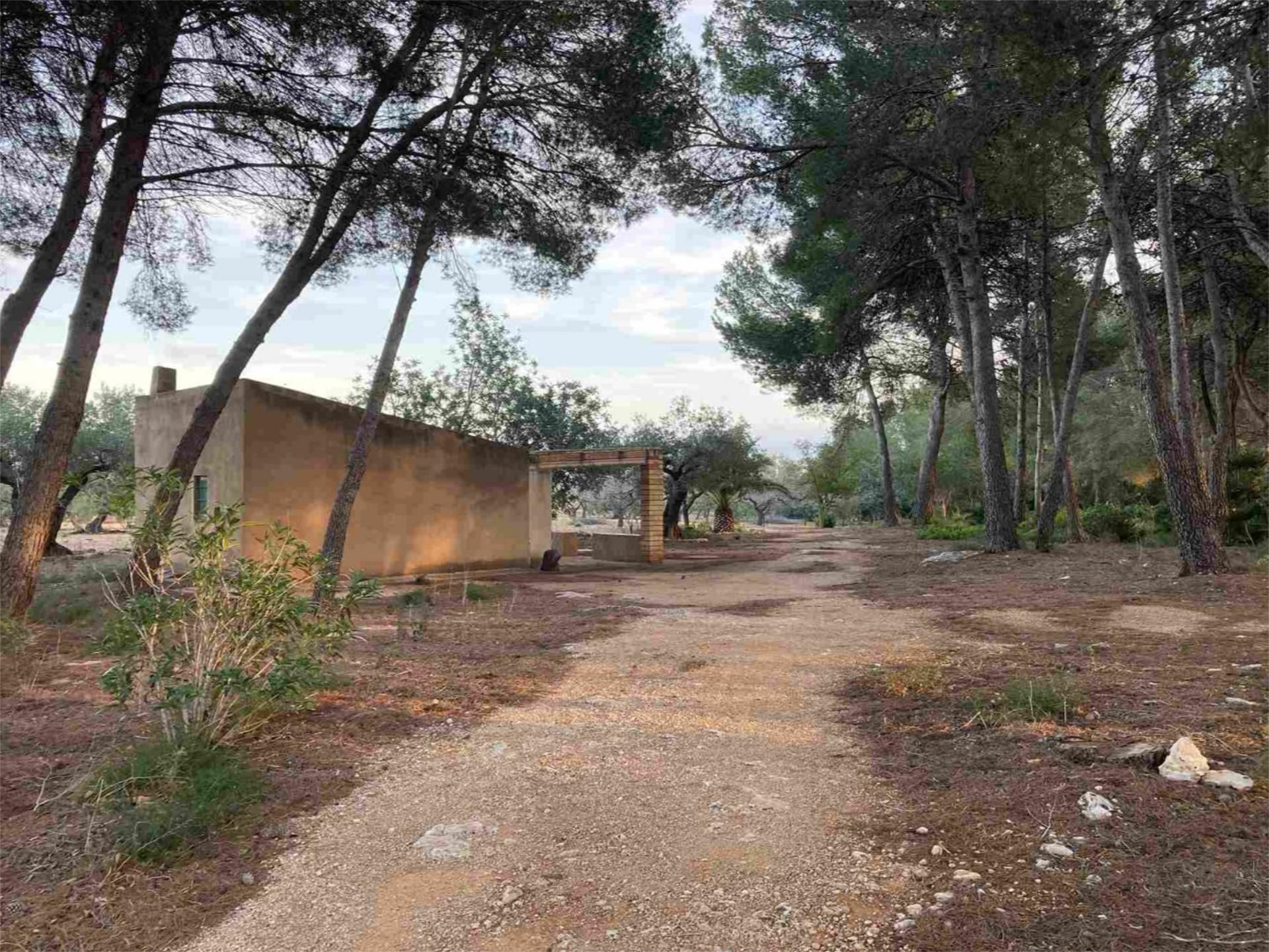 Land for sale in El Perelló  with Terrace and Community parking