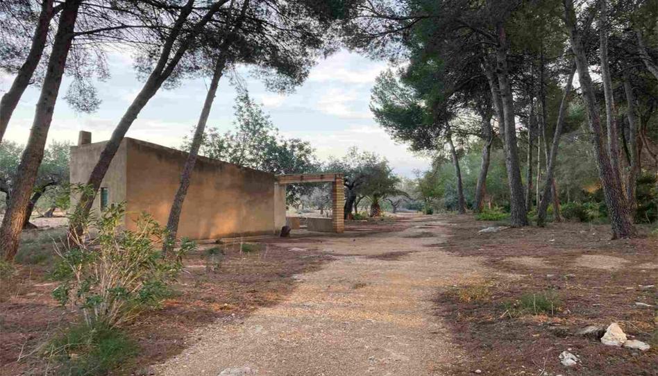 Photo 1 of Land for sale in El Perelló, Tarragona