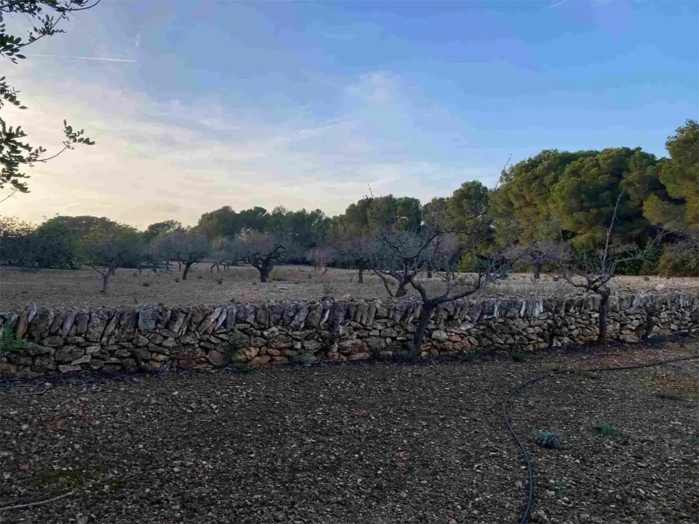 Terreno en venta en El Perelló Terreno en venta en El Perelló con Terraza y Parking comunitario