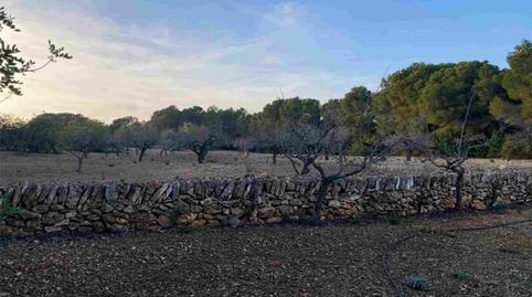 Photo 3 of Land for sale in El Perelló, Tarragona