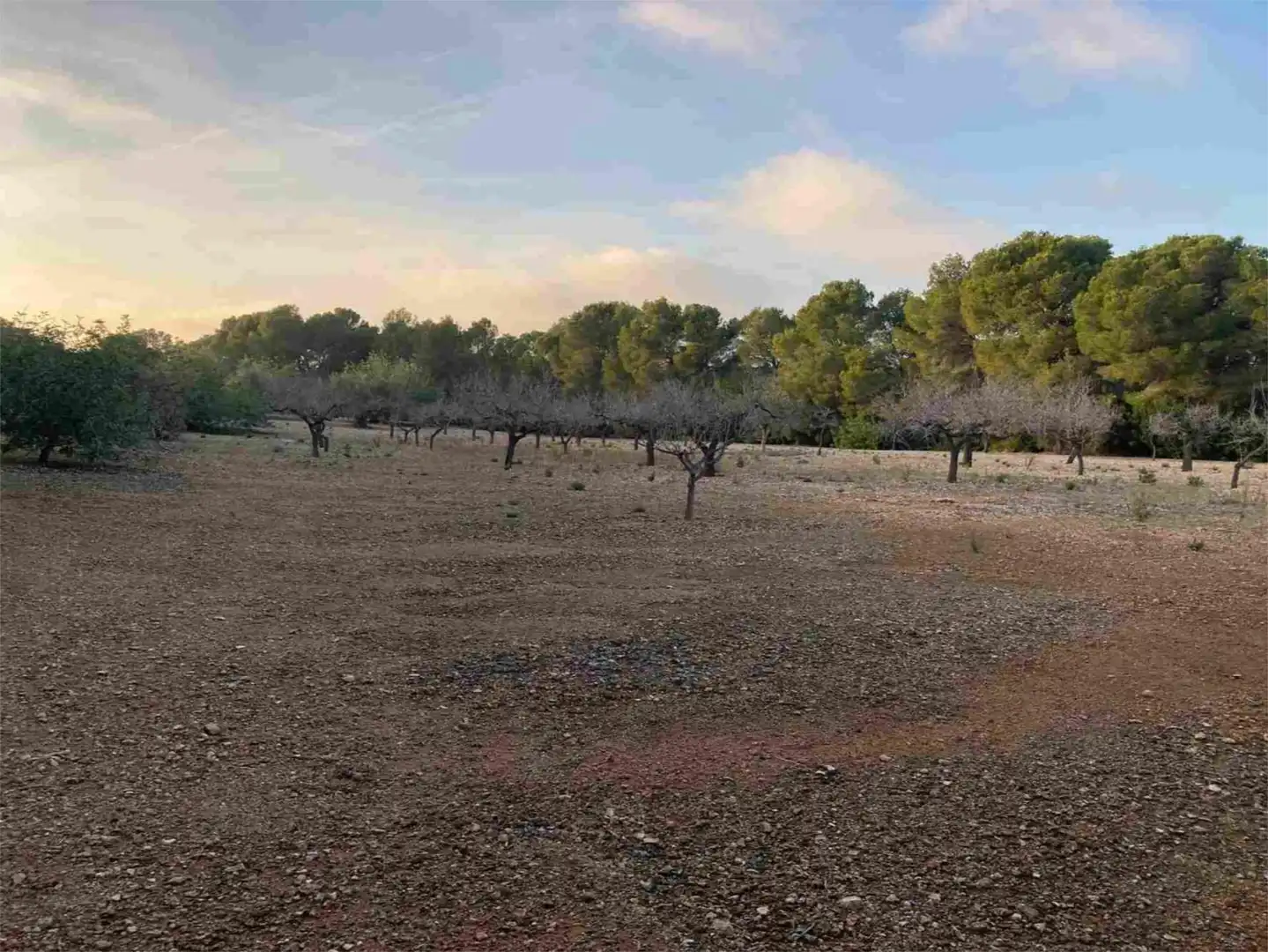 Terreno en venta en El Perelló Terreno en venta en El Perelló con Terraza y Parking comunitario