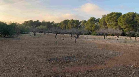 Photo 5 of Land for sale in El Perelló, Tarragona