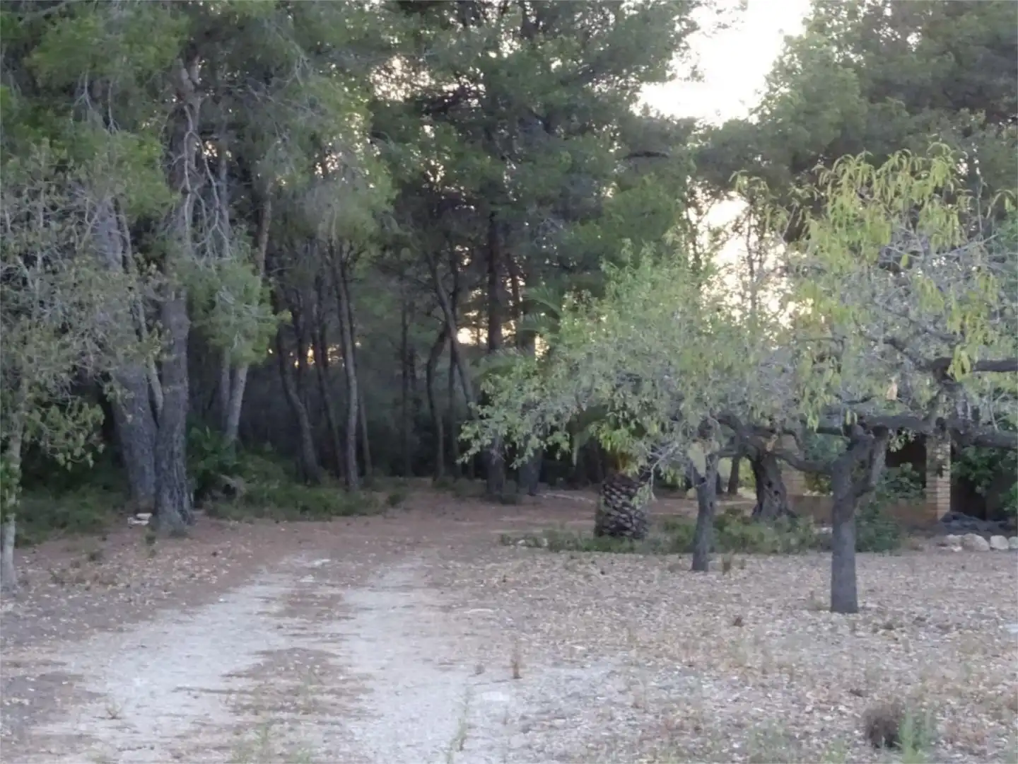 Terreno en venta en El Perelló Terreno en venta en El Perelló con Terraza y Parking comunitario
