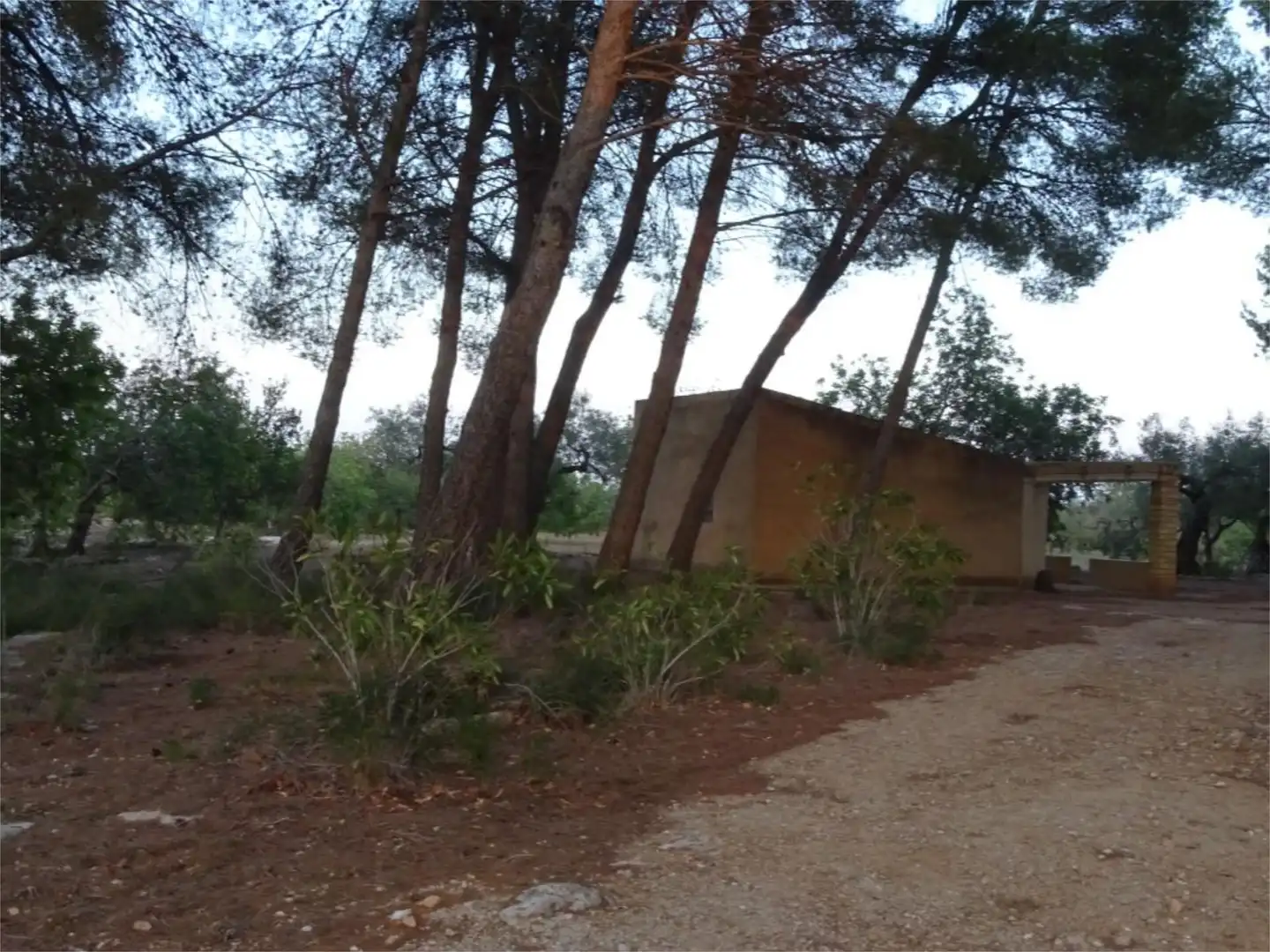 Terreno en venta en El Perelló Terreno en venta en El Perelló con Terraza y Parking comunitario