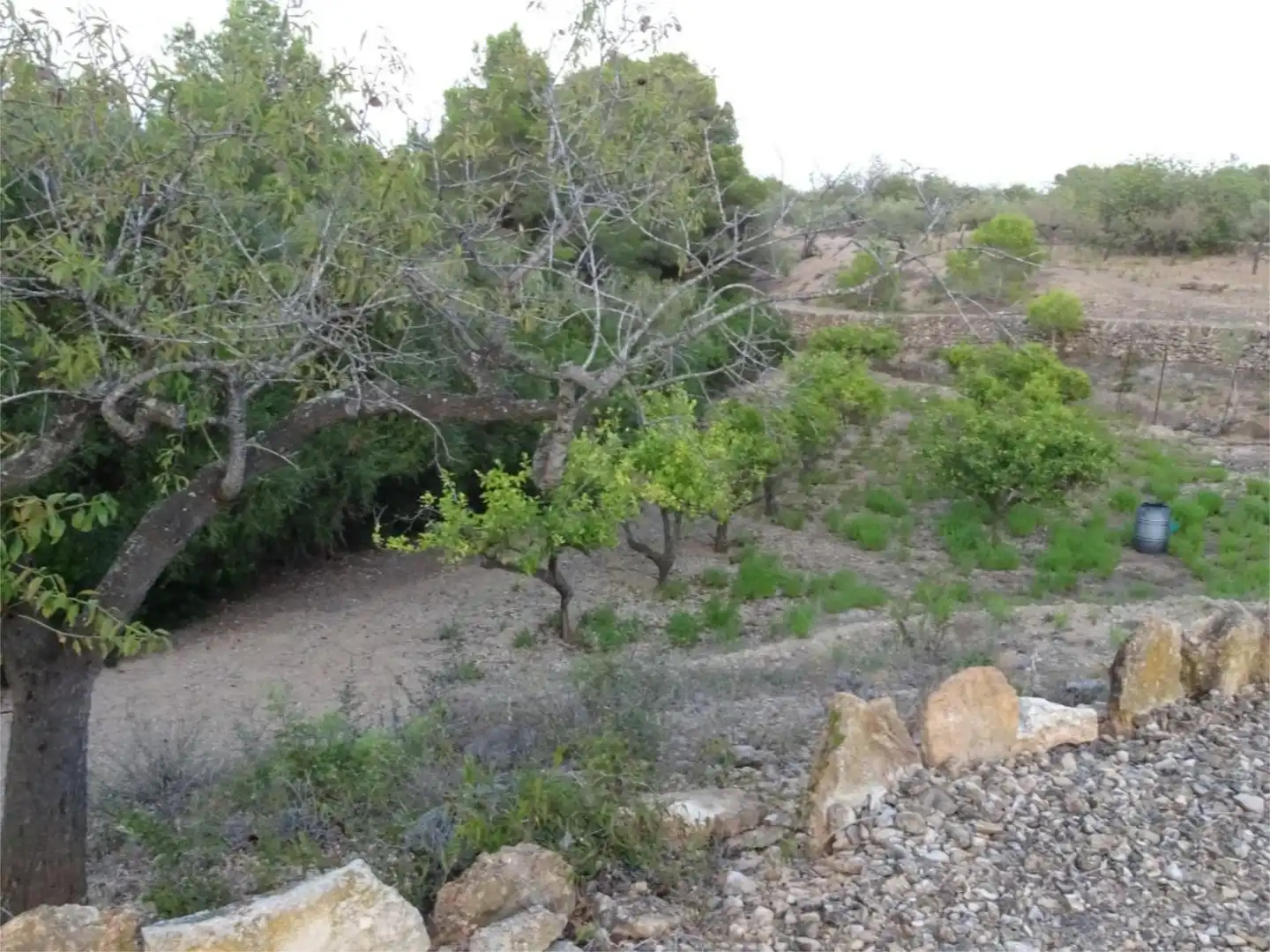 Terreno en venta en El Perelló Terreno en venta en El Perelló con Terraza y Parking comunitario
