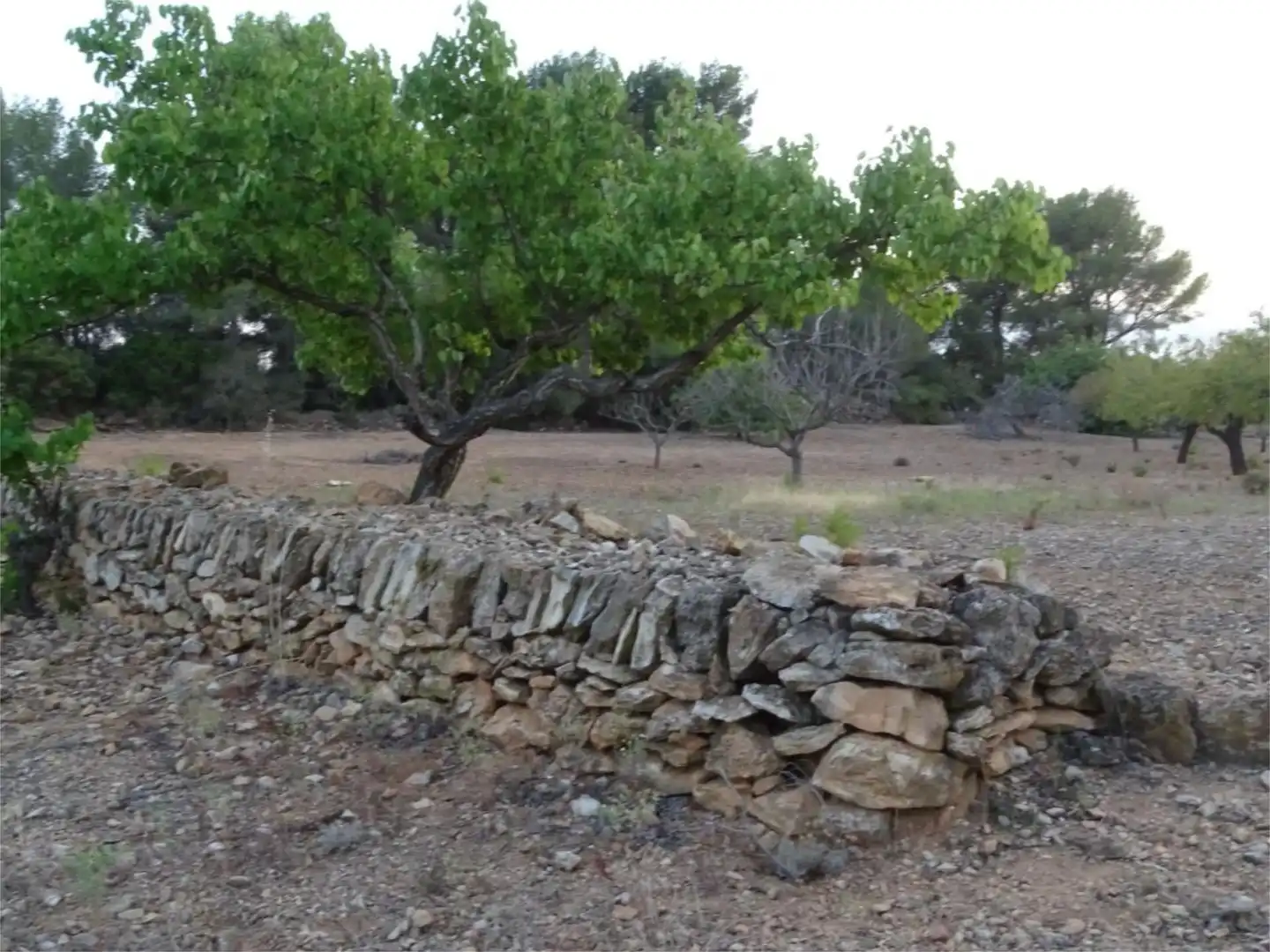 Terreno en venta en El Perelló Terreno en venta en El Perelló con Terraza y Parking comunitario