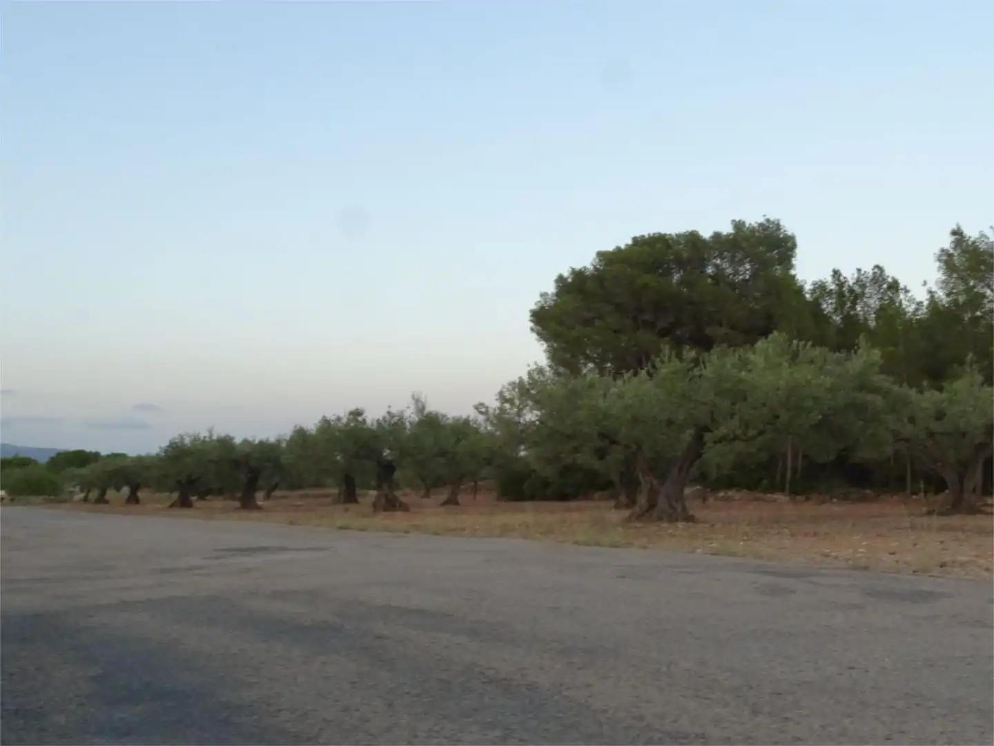 Terreno en venta en El Perelló Terreno en venta en El Perelló con Terraza y Parking comunitario