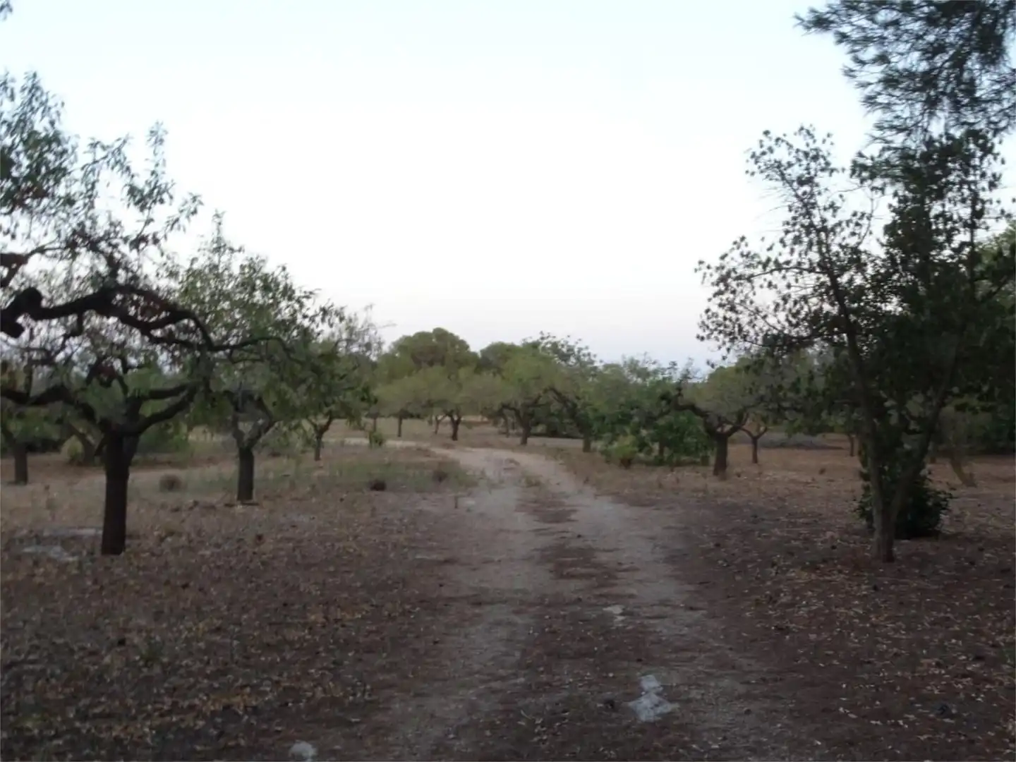 Terreno en venta en El Perelló Terreno en venta en El Perelló con Terraza y Parking comunitario