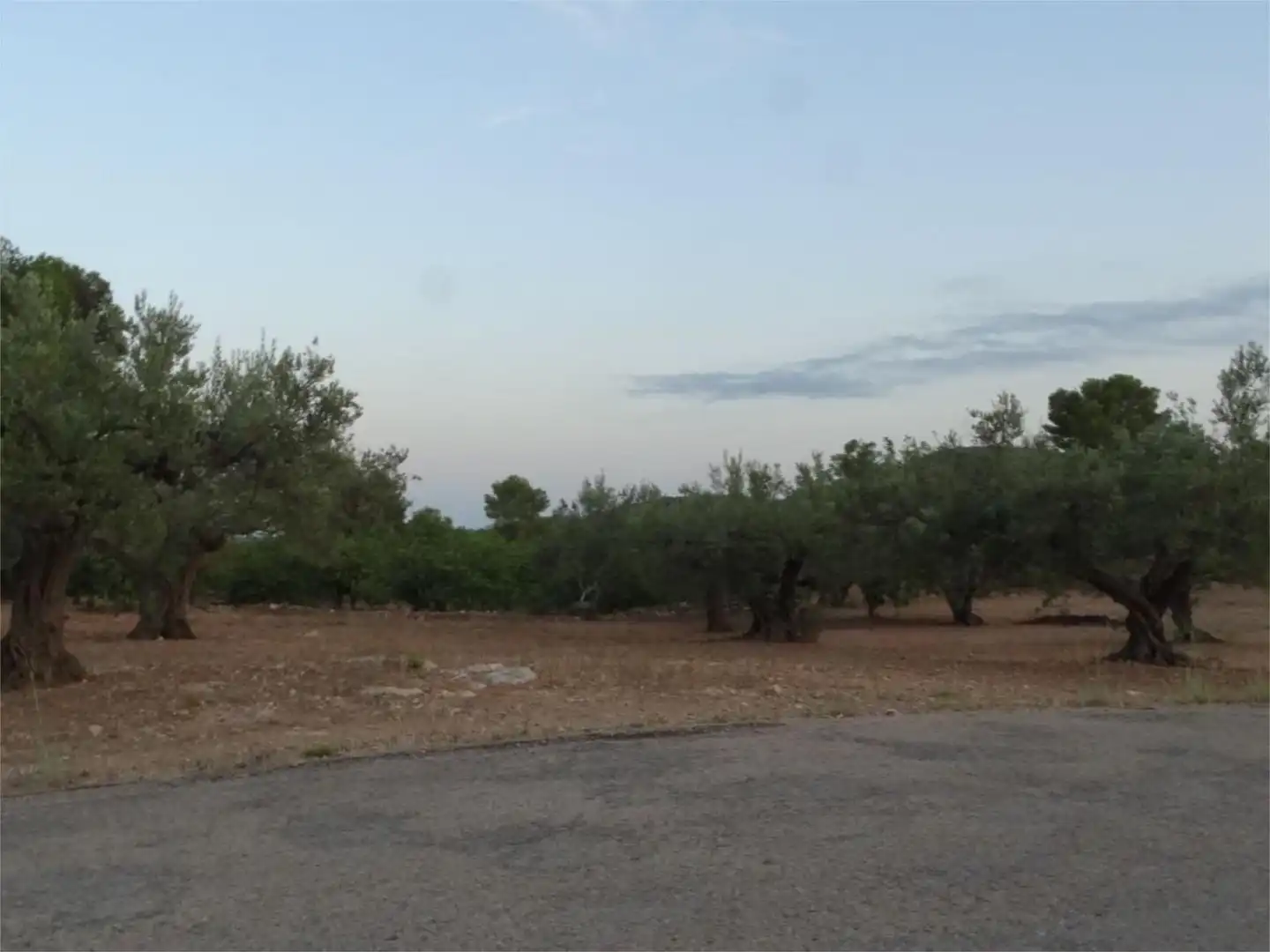 Terreno en venta en El Perelló Terreno en venta en El Perelló con Terraza y Parking comunitario