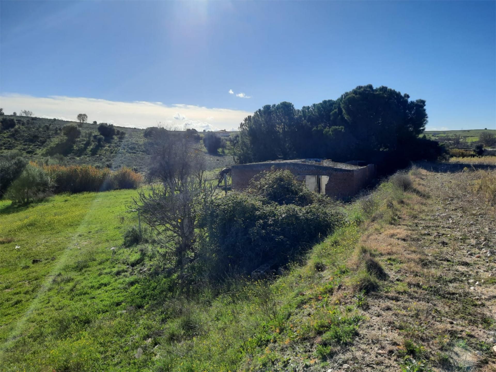Non-constructible Land for sale in La Torre de Esteban Hambrán