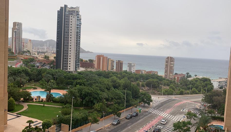 Foto 1 de Pis de lloguer a Avenida Murtal, 37, Playa Poniente, Alicante