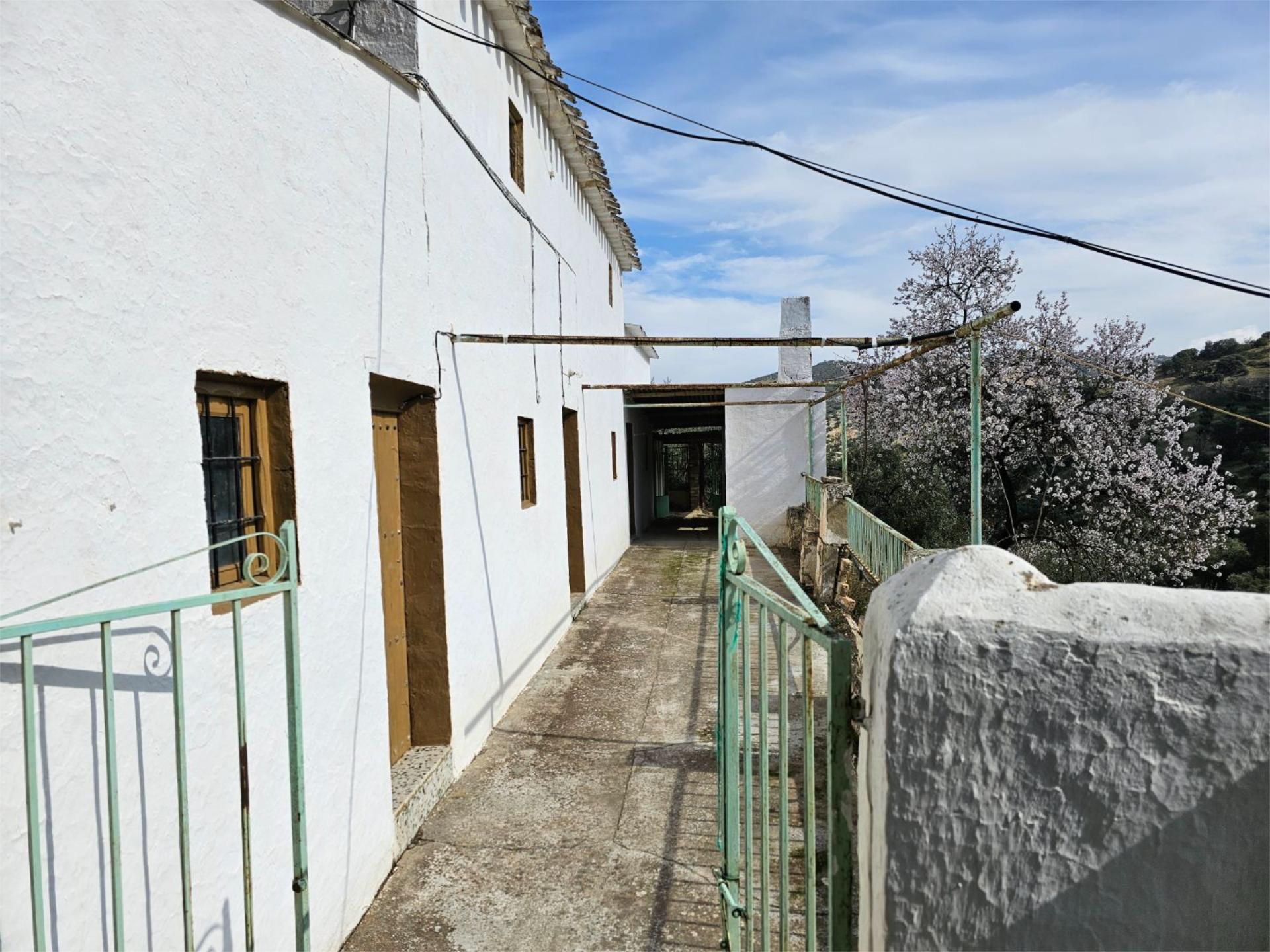 Vista exterior de Finca rústica en venda en Iznájar