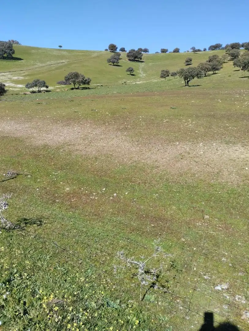 Constructible Land for sale in La Carolina Constructible Land for sale in La Carolina