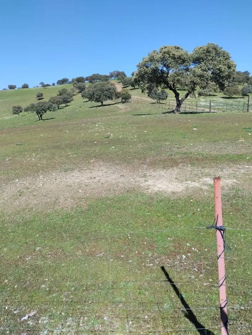 Constructible Land for sale in La Carolina Constructible Land for sale in La Carolina