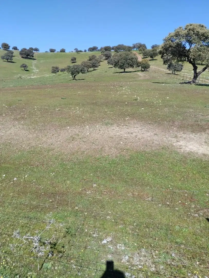 Constructible Land for sale in La Carolina Constructible Land for sale in La Carolina