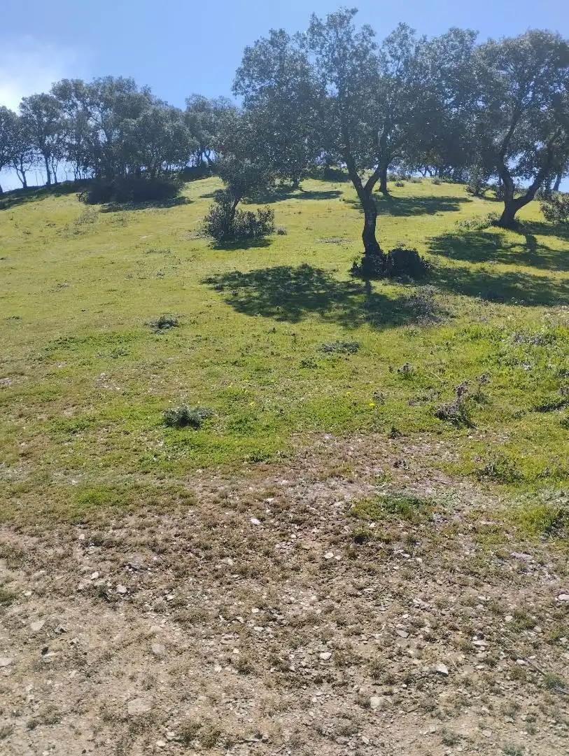 Constructible Land for sale in La Carolina Constructible Land for sale in La Carolina
