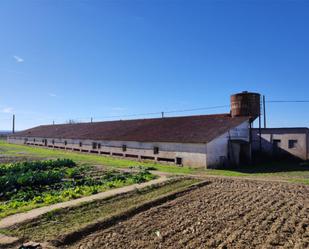 Außenansicht von Fabrikhallen zum verkauf in Pueyo de Santa Cruz