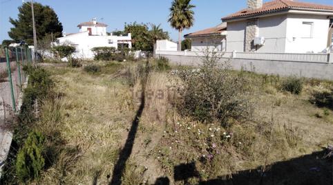 Constructible Land for sale in Carrer de Les Margarides, 5, Alcanar, Tarragona - image 5 Photo 5 of Constructible Land for sale in Carrer de Les Margarides, 5, Alcanar, Tarragona