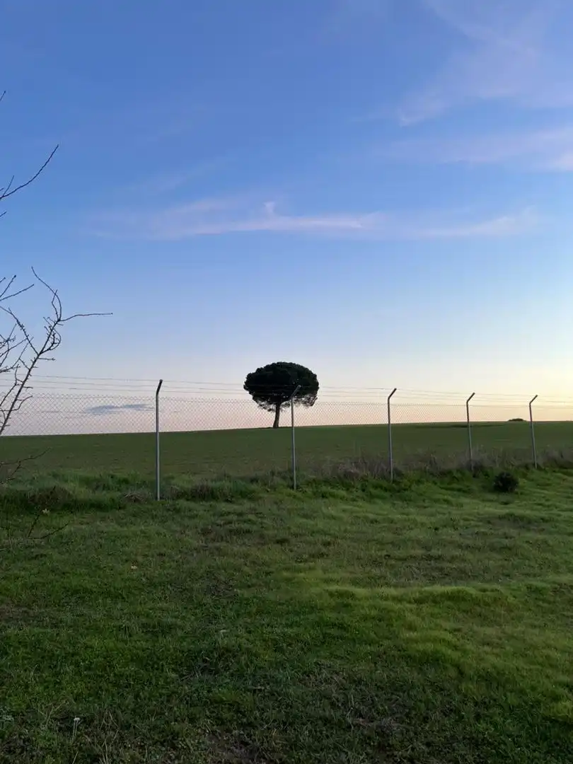 Land for sale in Camino Traviesa Pinar, 27, Laguna de Duero Exterior view of Land for sale in Laguna de Duero