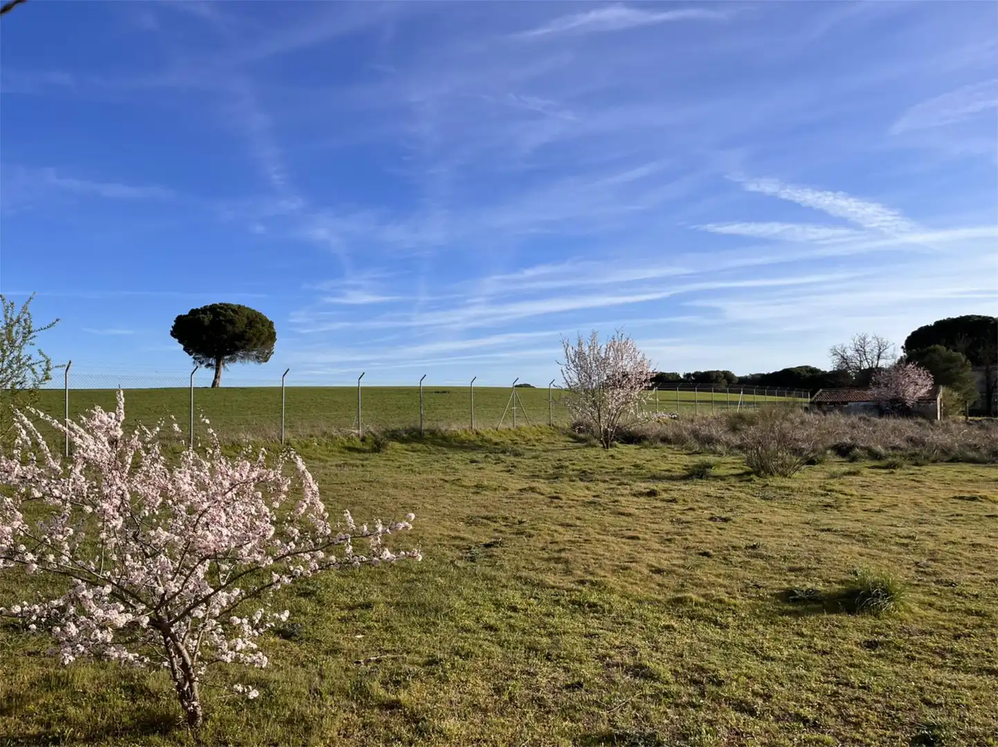 Land for sale in Camino Traviesa Pinar, 27, Laguna de Duero Land for sale in Laguna de Duero