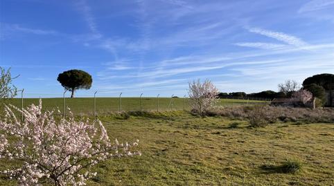 Terreny en venda a Camino Traviesa Pinar, 27, Laguna de Duero, Valladolid - imatge 2 Foto 2 de Terreny en venda a Camino Traviesa Pinar, 27, Laguna de Duero, Valladolid