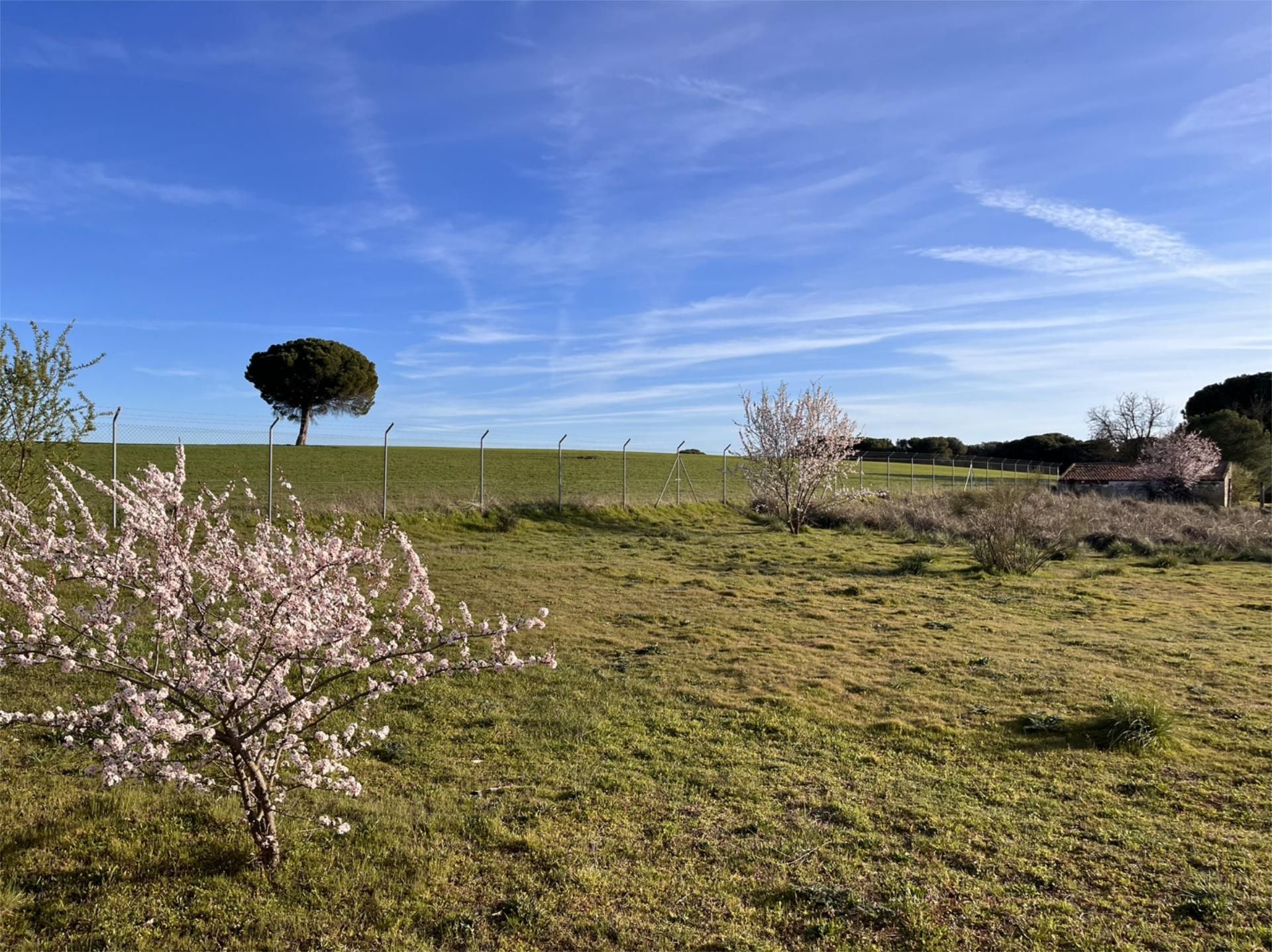 Land for sale in Laguna de Duero