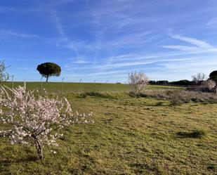 Grundstücke zum verkauf in Laguna de Duero