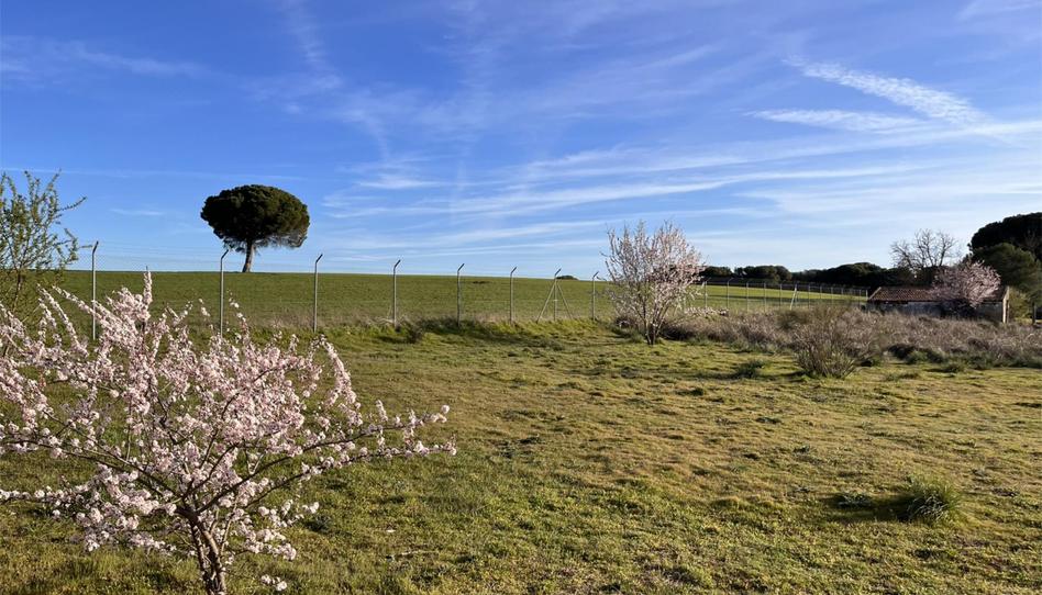 Terreny en venda a Camino Traviesa Pinar, 27, Laguna de Duero, Valladolid - imatge 1 Foto 1 de Terreny en venda a Camino Traviesa Pinar, 27, Laguna de Duero, Valladolid